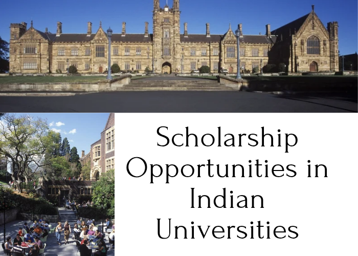 Scholarship Opportunities in Indian Universities